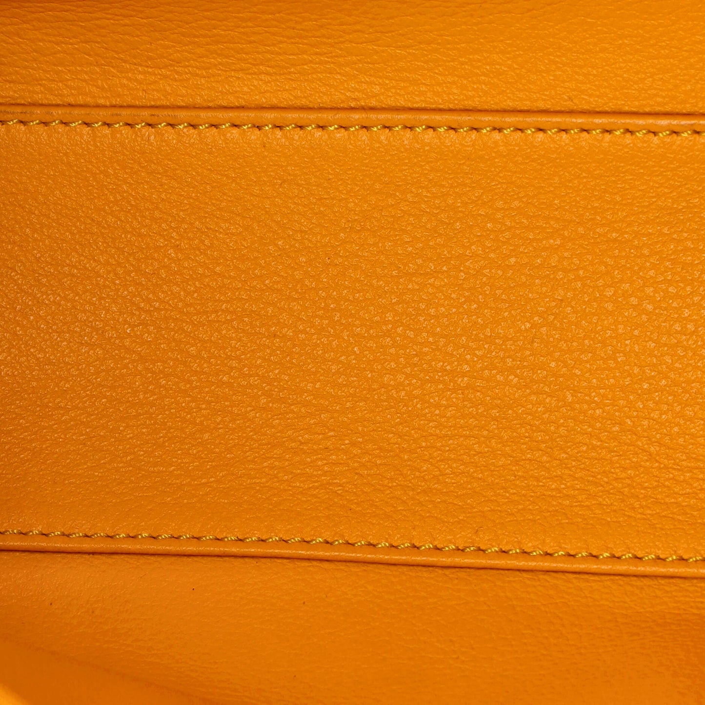 ミニ GOYARD サイゴントップハンドル