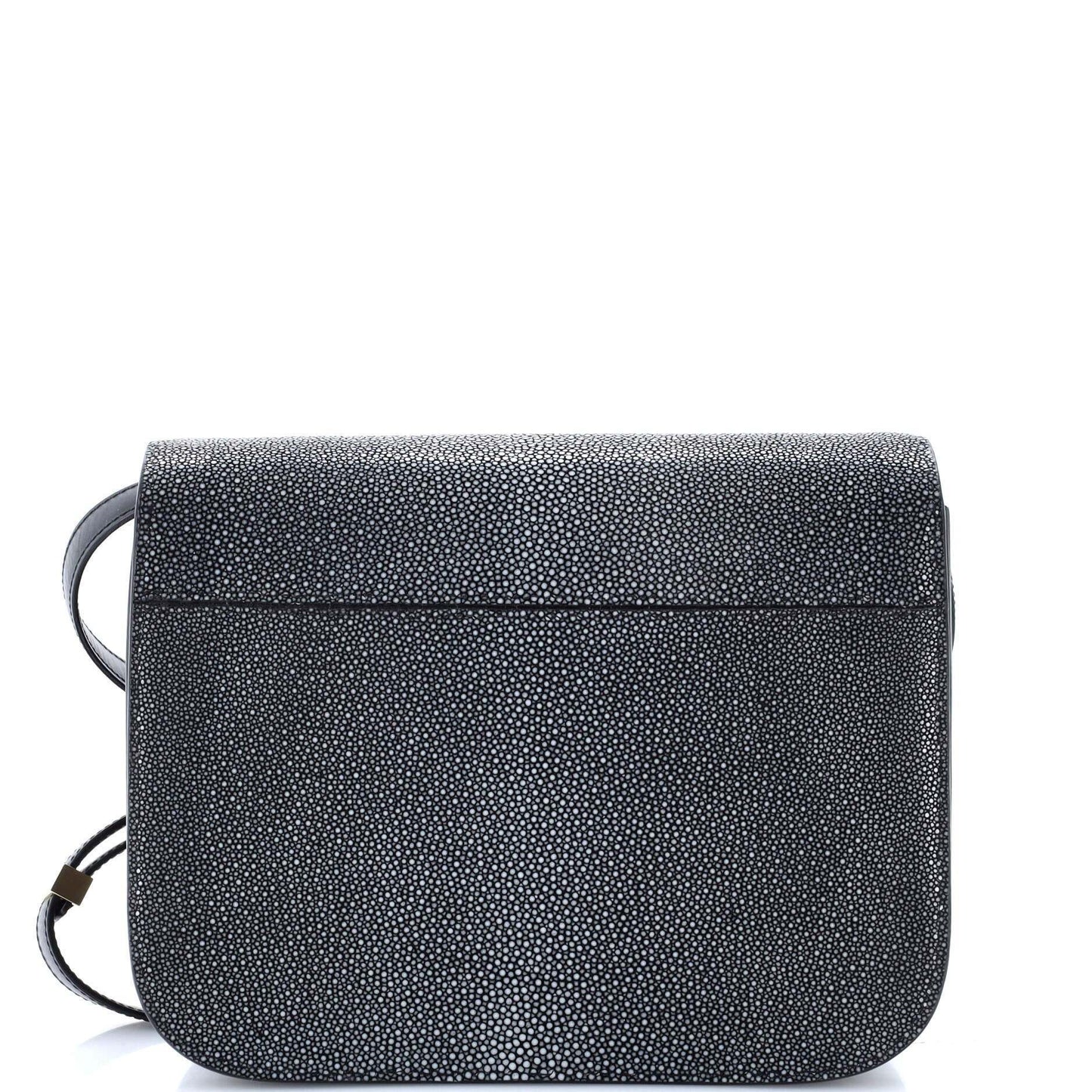 Celine Classic Box Bag Stingray Medium