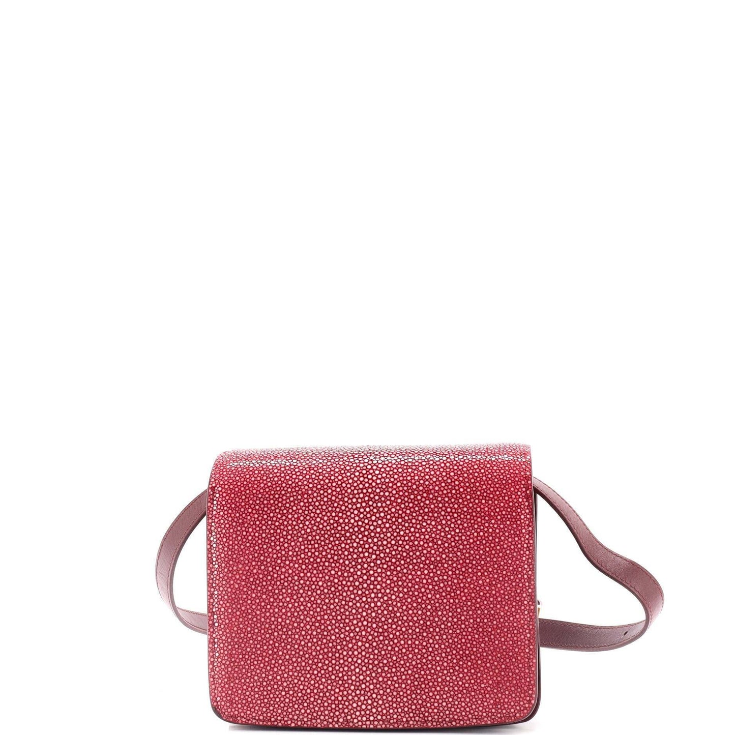 Celine Classic Box Bag Stingray Small