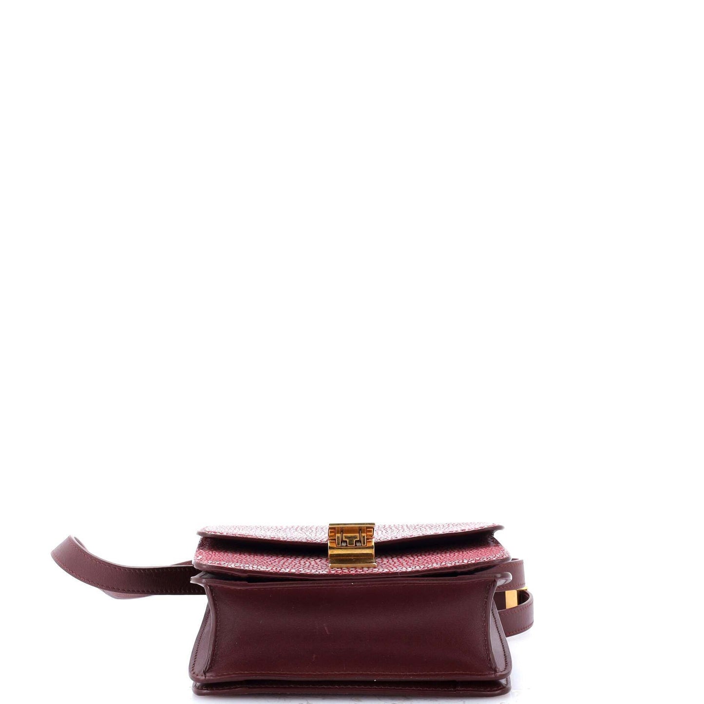 Celine Classic Box Bag Stingray Small