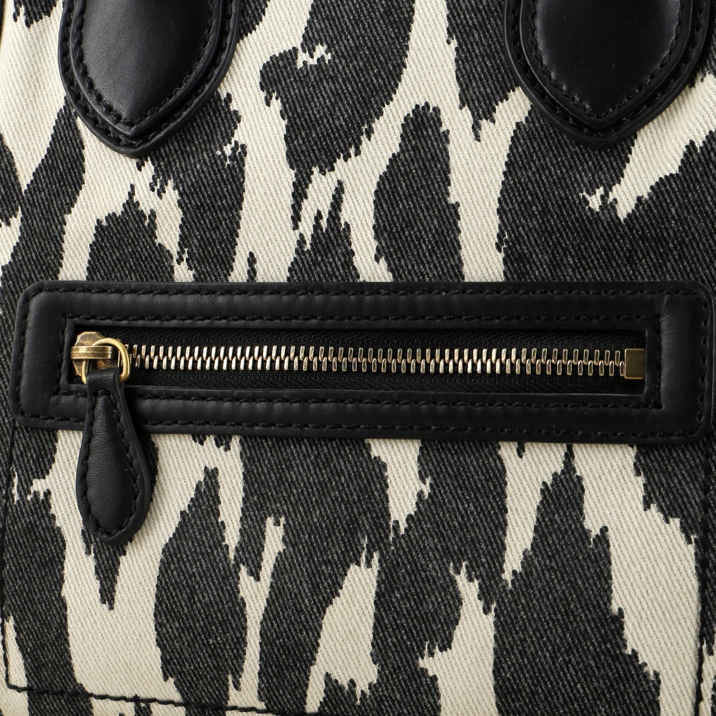 Celine Luggage Bag Printed Canvas and Leather Mini