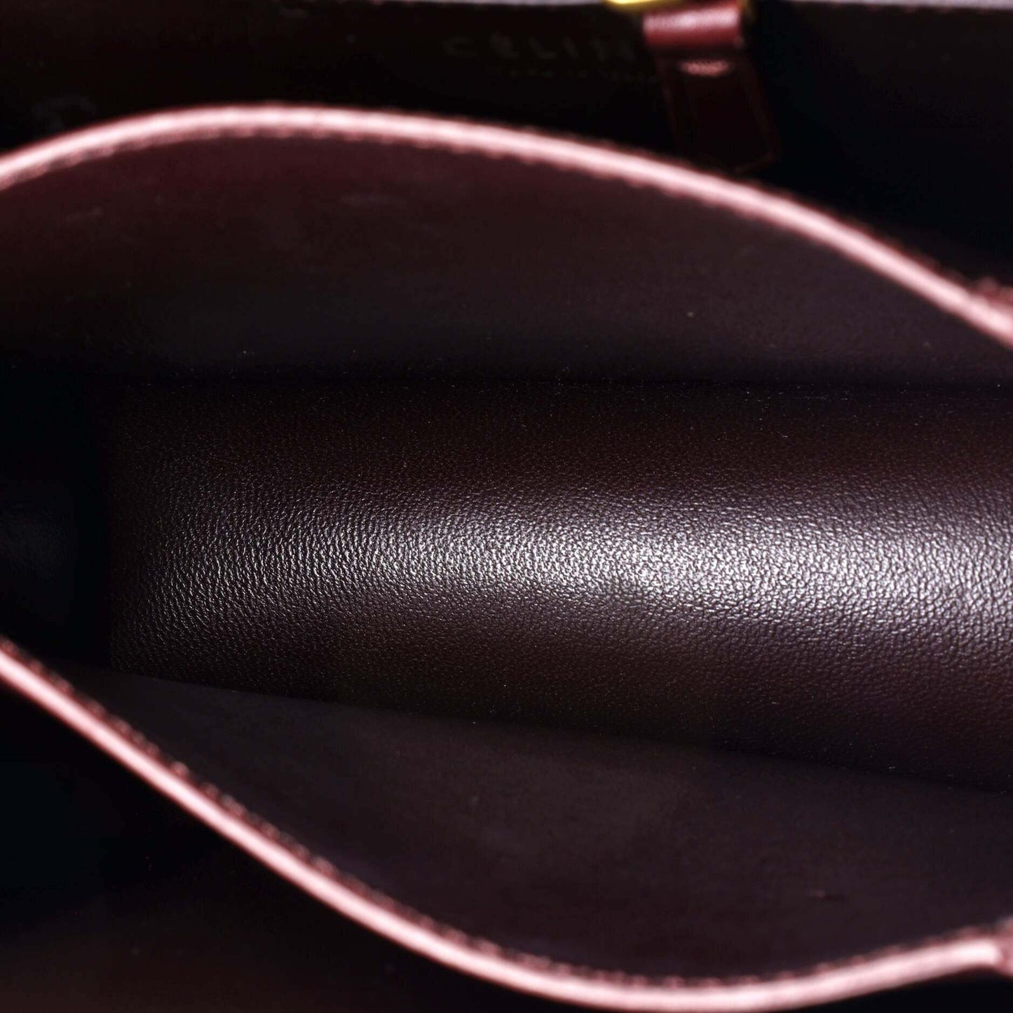 Celine Classic Box Bag Stingray Small