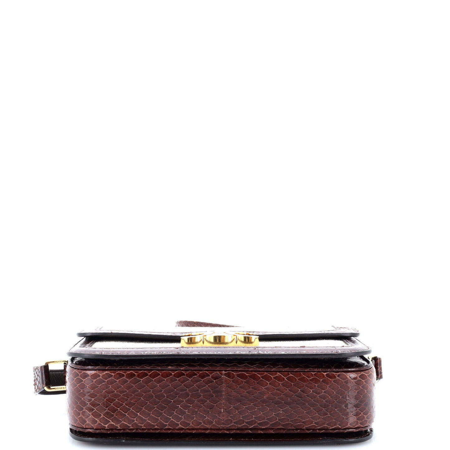 Celine Triomphe Shoulder Bag Canvas with Snakeskin Medium