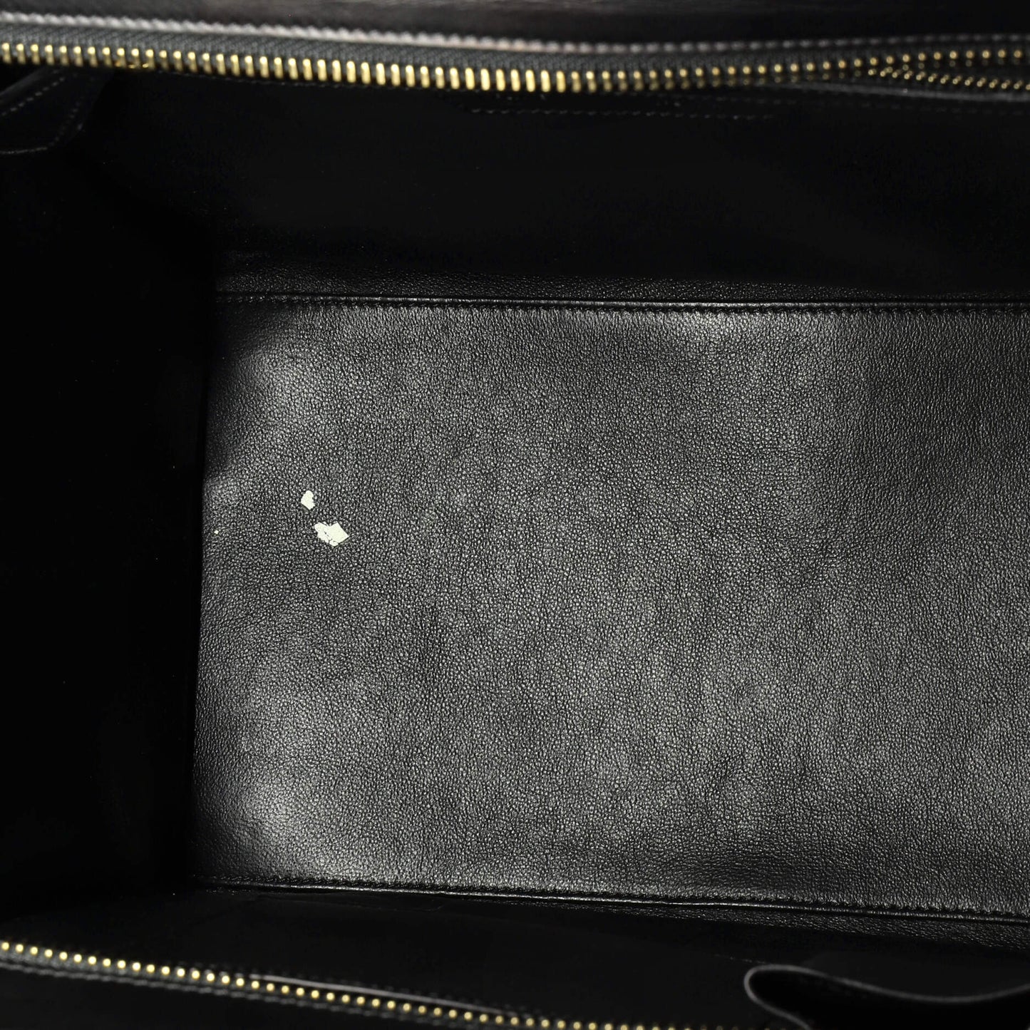 Celine Luggage Bag Python and Leather Mini