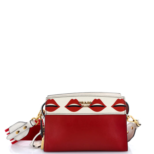 Prada Esplanade Crossbody Bag Printed Saffiano and City Calf Small