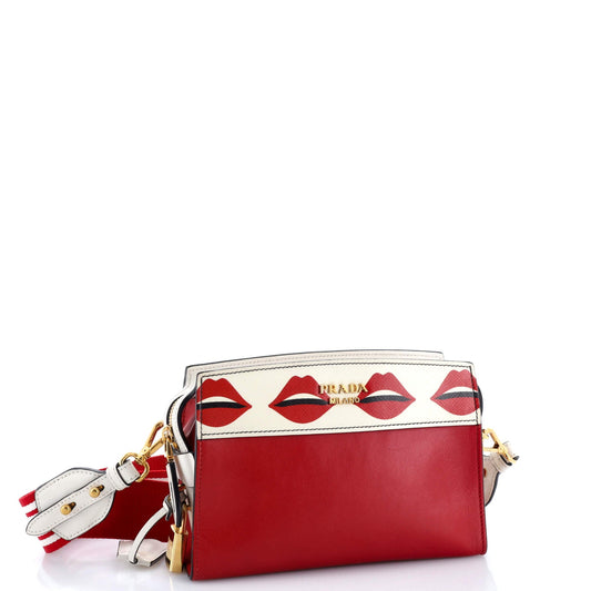 Prada Esplanade Crossbody Bag Printed Saffiano and City Calf Small