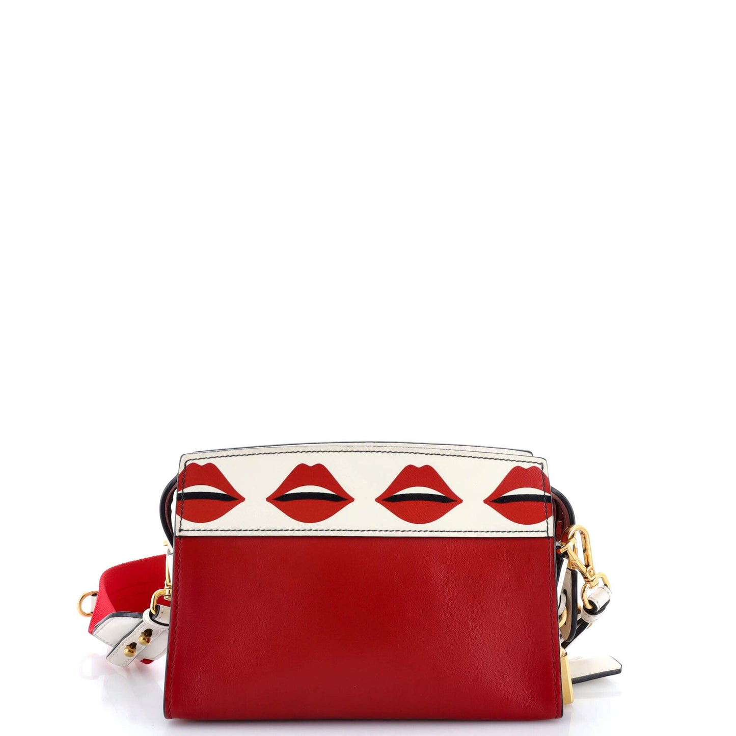 Prada Esplanade Crossbody Bag Printed Saffiano and City Calf Small