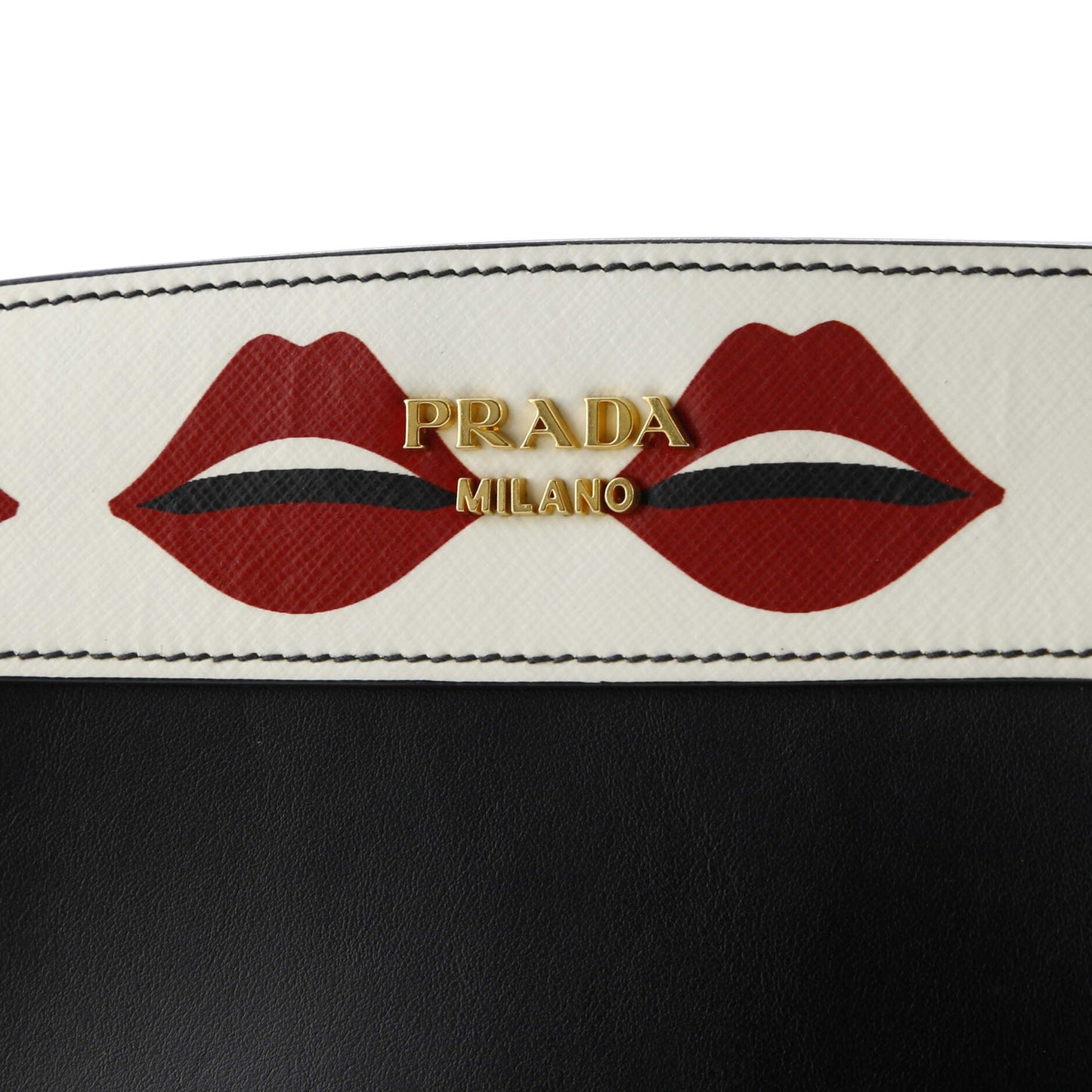 Prada Esplanade Crossbody Bag Printed Saffiano and City Calf Small