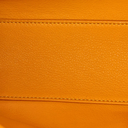 ミニ GOYARD サイゴントップハンドル