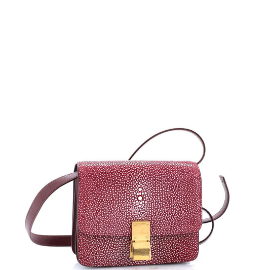Celine Classic Box Bag Stingray Small